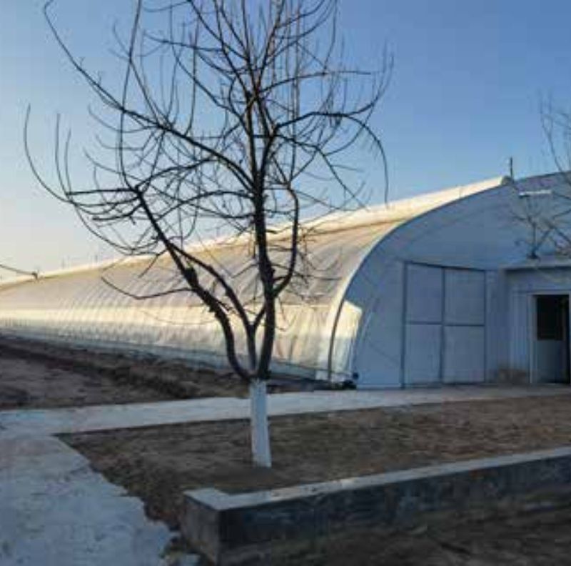 High-efficiency Intelligent Control Prefabricated Solar Greenhouse