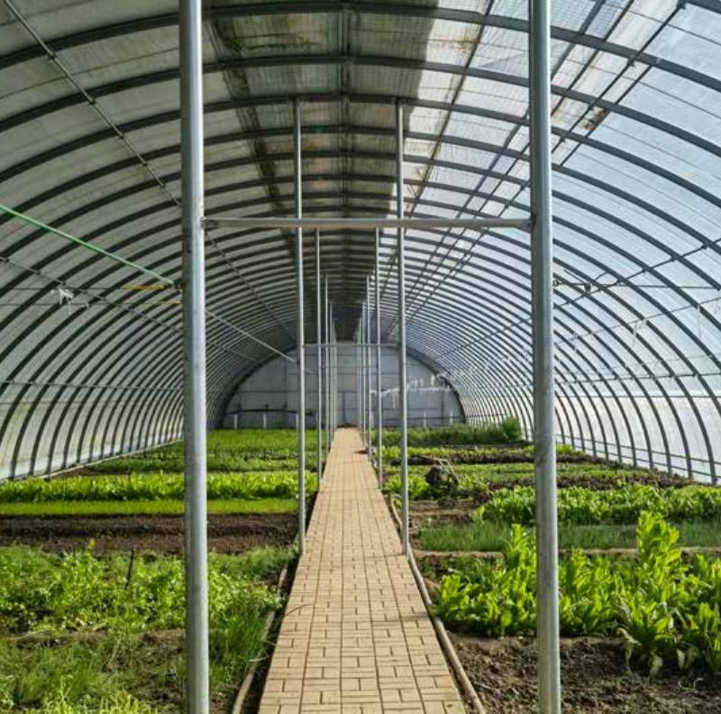 Winter-proof heat preservation arch shed