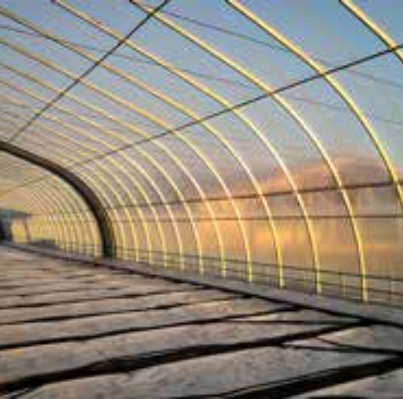 Winter-proof heat preservation arch shed